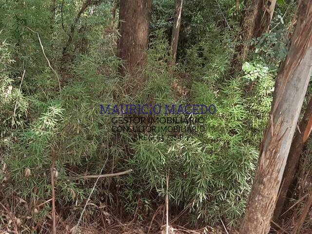 Terreno para Venda em Barueri - 3