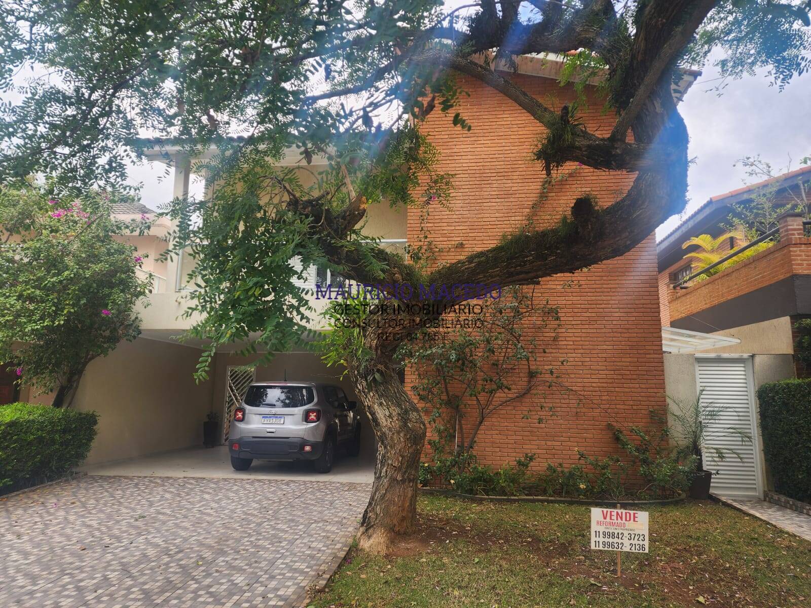 Oportunidae de negocio apha 4 !